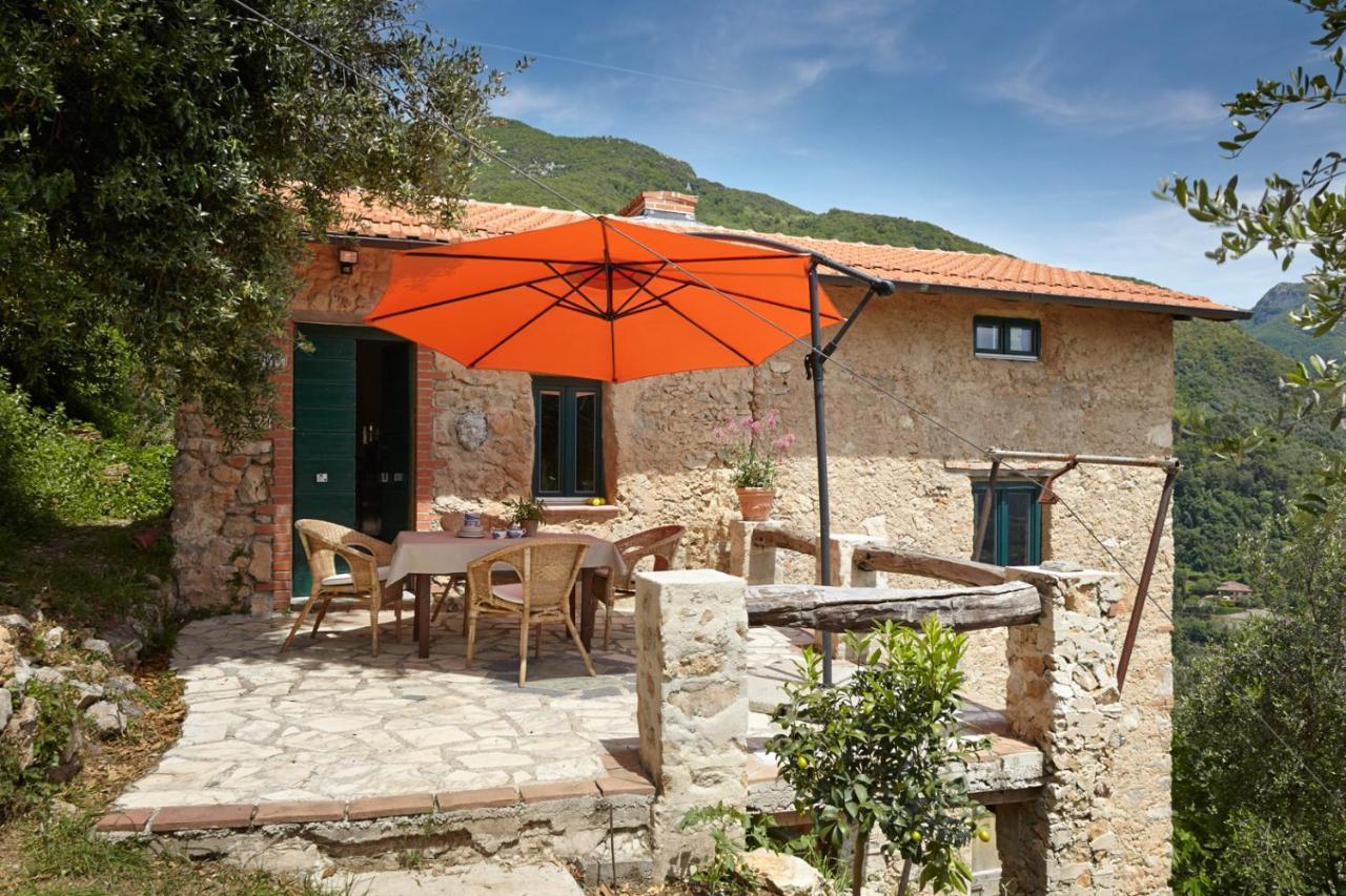 Casa Berti - Urlaub Im Olivenhain